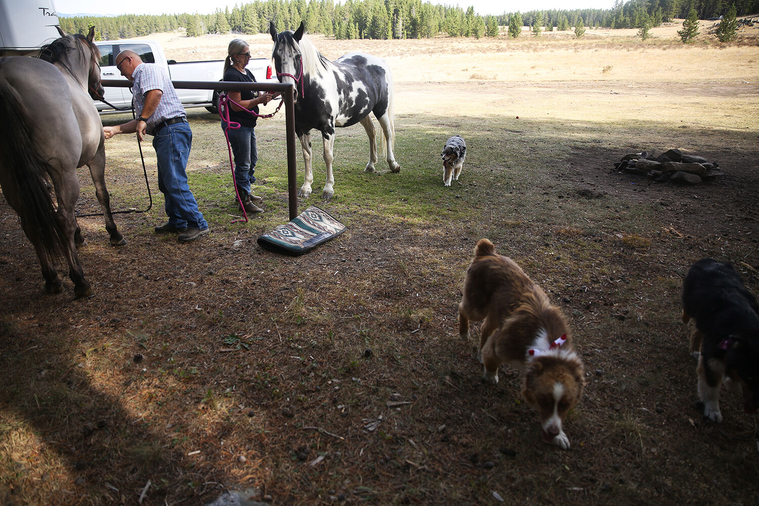 Lorri brushes her horse Flossie and Robbie Lang Sr. brushes his horse Country